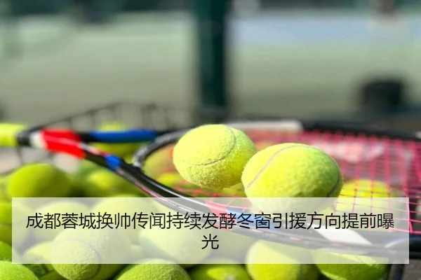 成都蓉城换帅传闻持续发酵冬窗引援方向提前曝光
