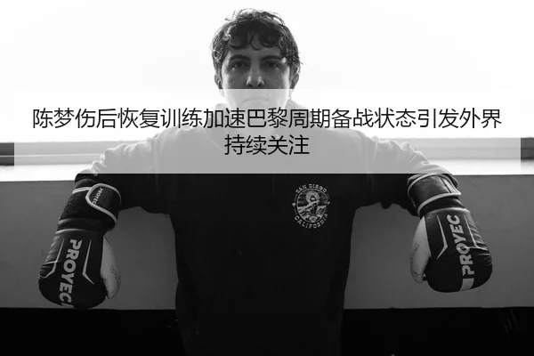 陈梦伤后恢复训练加速巴黎周期备战状态引发外界持续关注