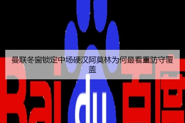 曼联冬窗锁定中场硬汉阿莫林为何最看重防守覆盖